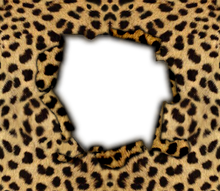 Load image into Gallery viewer, Personalized Animal Print Tumbler